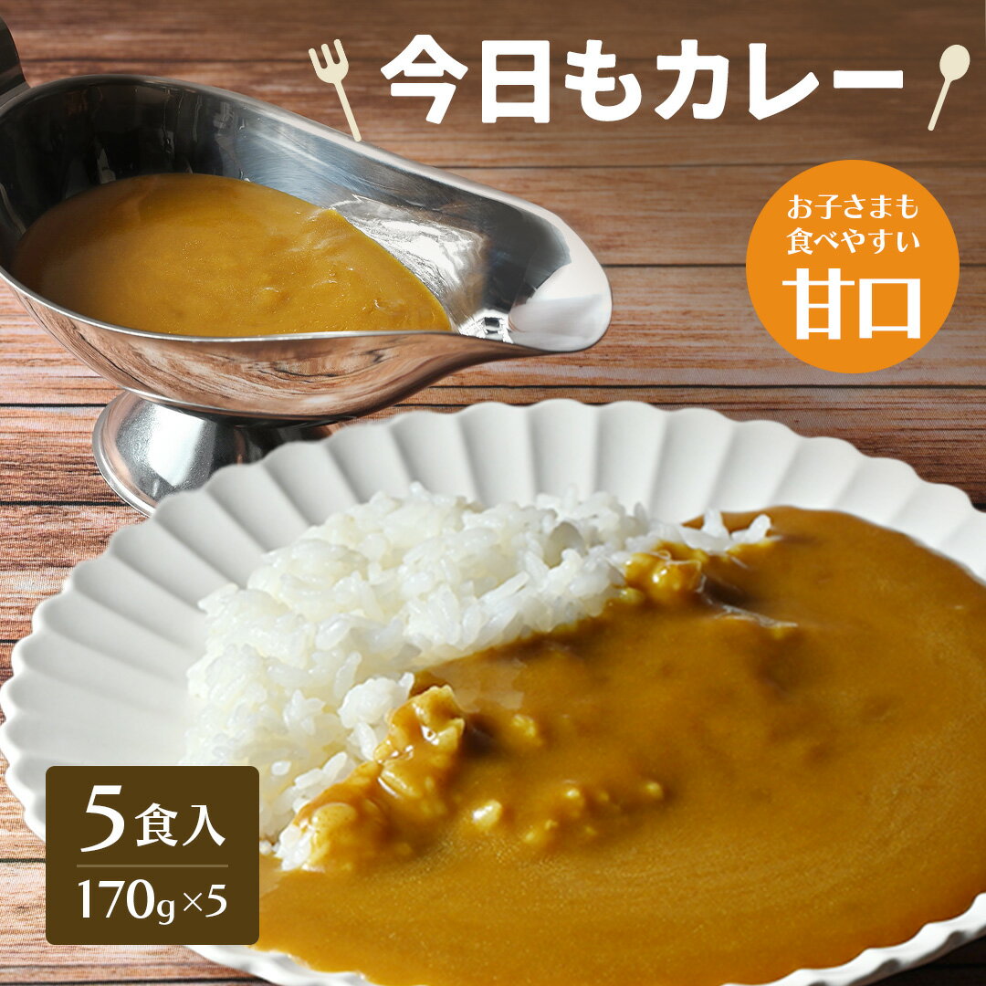 【数量限定】今日もカレー 5食セット レトルトカレー カレー 送料無料 食品 常温保存 インド料理 ポイント消化 BBQ バーベキューのサムネイル