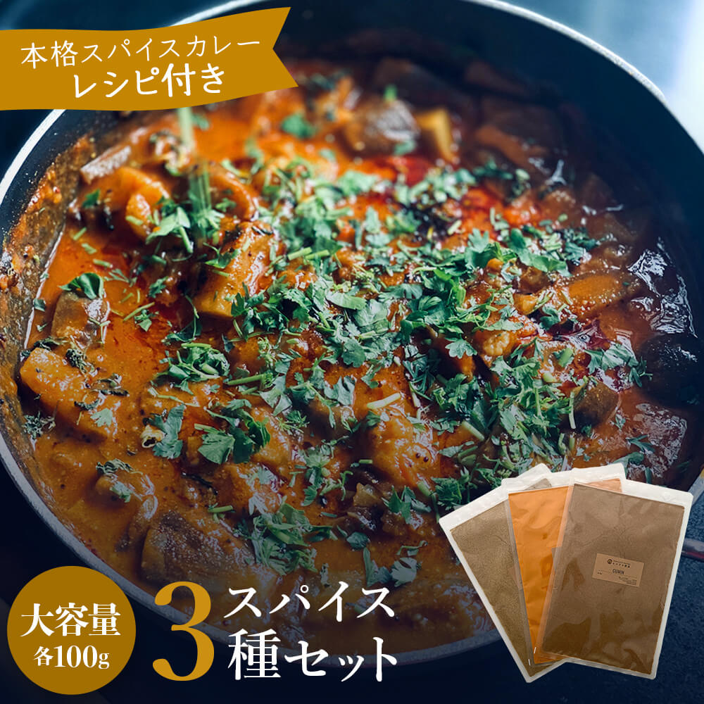 3種類スパイスセット ターメリック クミン コリアンダー おうちカレー スパイス カレー カレー粉 カレースパイス 香辛料 スパイス セット 大容量 業務用 お店用 ポイント消化 バーベキュー BBQ