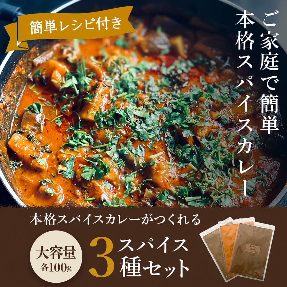 【全品P5倍!4/5(火)0時~】3種類スパイスセットターメリッククミンコリアンダーおうちカレー送料無料【1000円ポッキリ】スパイスカレーカレー粉香辛料