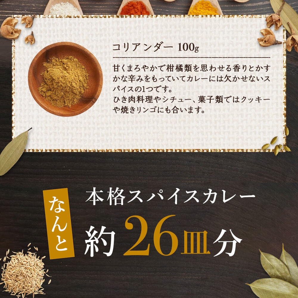 【全品P5倍!4/5(火)0時~】3種類スパイスセットターメリッククミンコリアンダーおうちカレー送料無料【1000円ポッキリ】スパイスカレーカレー粉香辛料
