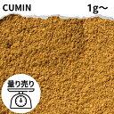 クミンパウダー 1g〜 量り売り スパイス カレー カレー粉 香辛料 ハーブ ドライハーブ おうちカレー スパイスカレー セリ科 調味料 肉料理 魚料理