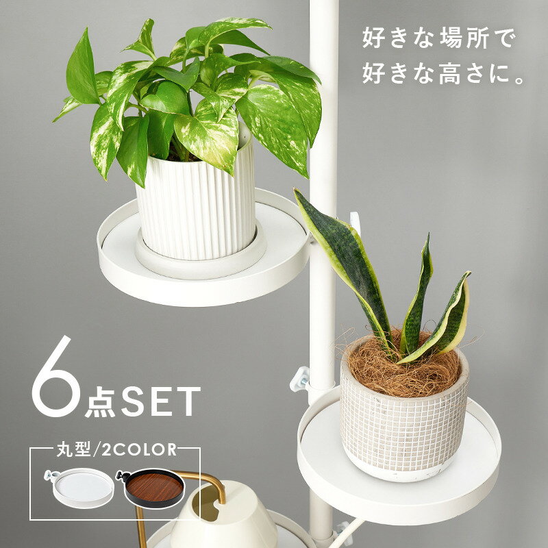 楽天市場】つっぱり プランター（生活雑貨｜日用品雑貨・文房具・手芸