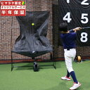 フィールドフォース FIELDFORCE 野球 ゲージ ネット オートリターンネット・投打(マシン付き) 練習機 トスマシン FTM-280AR bb