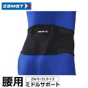 【沖縄県内(離島含)3,300円以上送料無料】ザムスト 腰サポーター ZW-5 3Lサイズ 383505 ZAMST
