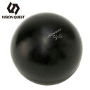 ビジョンクエスト VISION QUEST ジムボール メンズ レディース ウエイトボール 5kg VQ580104I24 【沖縄県外発送 追加送料発生商品】