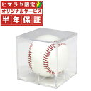 【沖縄県内(離島含)3,300円以上送料無料】フィールドフォース FIELDFORCE 野球 サインボールケース FSC-8080