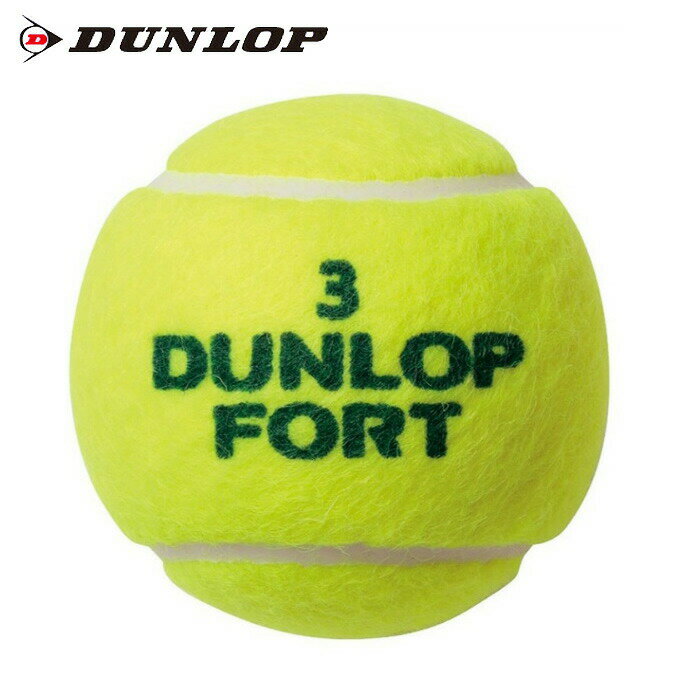 【沖縄県内（離島含）3，300円以上送料無料】ダンロップ DUNLOP 硬式テニスボール 2個入り フォート 2球 プレッシャー公認 DFEYL2TIN