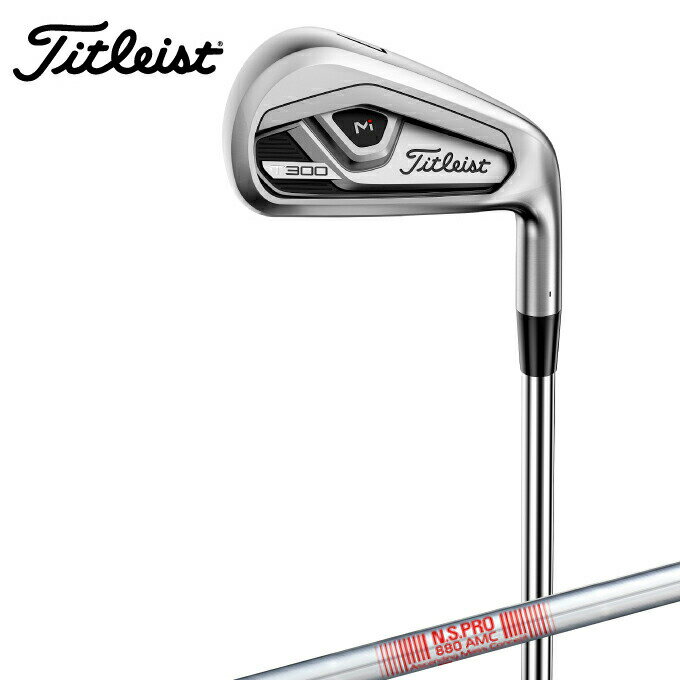 タイトリスト Titleist ゴルフクラブ 単品アイアン メンズ N.S. PRO 880 AMC シャフト T300