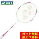 yꌧi܁j3C300~ȏ㑗zlbNX oh~gPbg imtA70 NANOFLARE 70 NF70-299 YONEX