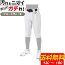 【沖縄県内(離島含)3,300円以上送料無料】ミズノ 野球 練習着 パンツ ジュニア GACHIユニフォームパンツ ショートフィットタイプ 12JD2F8401...