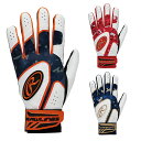 【沖縄県内(離島含)3,300円以上送料無料】ローリングス Rawlings 野球 バッティンググローブ 両手用 ベクターカモ2ハイパーグリップ EBG24S0...