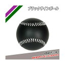 【沖縄県内(離島含)3,300円以上送料無料】フィールドフォース FIELDFORCE 野球 サインボールケース ブラック FSB-0905 BLK