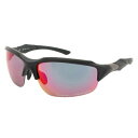 【沖縄県内(離島含)3,300円以上送料無料】エルバランス L-BALANCE 偏光サングラス SUNGLASS LBP-452-7-SB