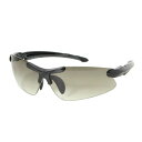 【沖縄県内(離島含)3,300円以上送料無料】エルバランス L-BALANCE サングラス SUNGLASS LBR-317-4-SB