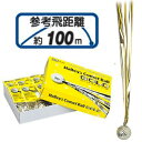 【沖縄県内(離島含)3,300円以上送料無料】ライト(LITE) ゴルフ コンペギフト ハレーコメットボール ゴールド R124