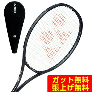 ͥå żƥ˥饱å 쥰 100 02RGN100-243 YONEX rkt