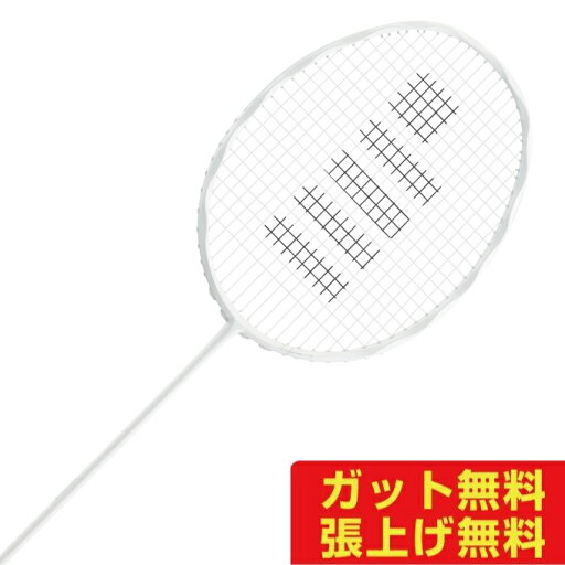 ゴーセン GOSEN バドミントンラケット インフェルノエアー BRIFARMW6 rkt ゴーセン GOSEN バドミントンラケット インフェルノエアー BRIFARMW6 rkt