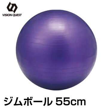 ビジョンクエスト VISION QUEST バランスボール 55cm PP VQGBN003 ジムボール ヨガボール 体幹トレーニング