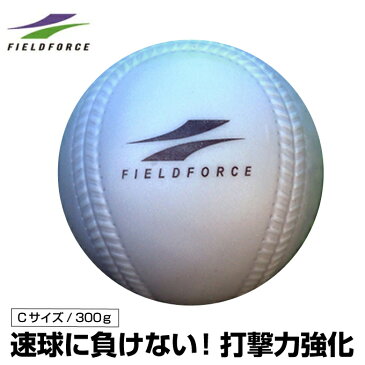 フィールドフォース FIELDFORCE野球 トレーニングボールインパクトパワーボール Cサイズ 300gFIMP-680C