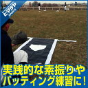 フィールドフォース FIELDFORCE野球 練習器具バッタ...