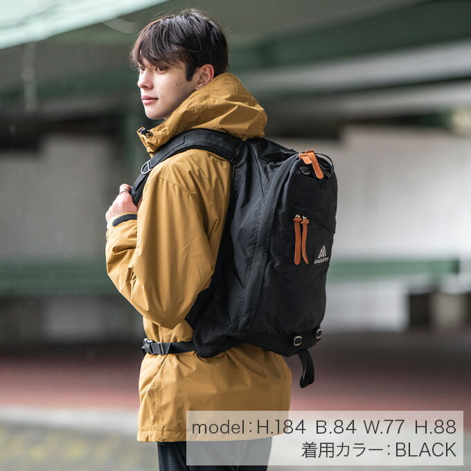 日常使い 機内持ち込み用のお勧めバックパックを厳選 ミセスgのブログ