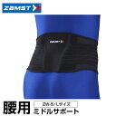 ザムスト 腰サポーター ZW-5 Lサイズ 383503 ZAMST(4)