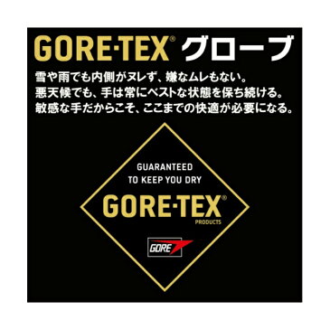 【店頭受取でポイント5倍 6/1 10:00〜6/3 23:59】 ヘストラ スキーグローブ メンズ レディース コアテックス OMNI GTX FULL LEATHER オムニ フルレザー 31910 HESTRA