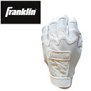 【最大10%OFFクーポン発行中!5/1 0:00〜5/5 23:59】 フランクリン FRANKLIN 野球 バッティンググローブ 両手用 メンズ CFX P...