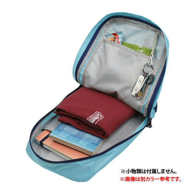 コールマン ボディバッグ メンズ レディース クロスボディ ネイビードット 2000032898 Coleman