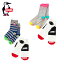 ॹ CHUMS ȥå󥰥å ˥ Socks Set å CH26-1003