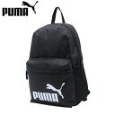 v[} obNpbN Y fB[X tFCY 22L 075487-01 PUMA