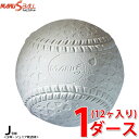 マルエスボール 軟式野球ボール J号 検定球 新公認球 ジュニア キッズ 1ダース 12ケ入り 15910D MARU S BALL 学童 少年軟式 小学生 少...