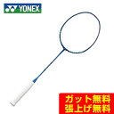 ヨネックス バドミントンラケット ナノレイ250 NANORAY 250 NR250-566 YONEX メンズ レディース