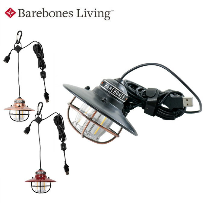 ベアボーンズリビング 飾りライト エジソンペンダントライト LED 20230006 Barebones Living