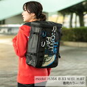 ノースフェイス リュックサック 30L メンズ レディース ノベルティBCヒューズボックス ヨセミテプリント NM81939 THE NORTH FACE バックパック