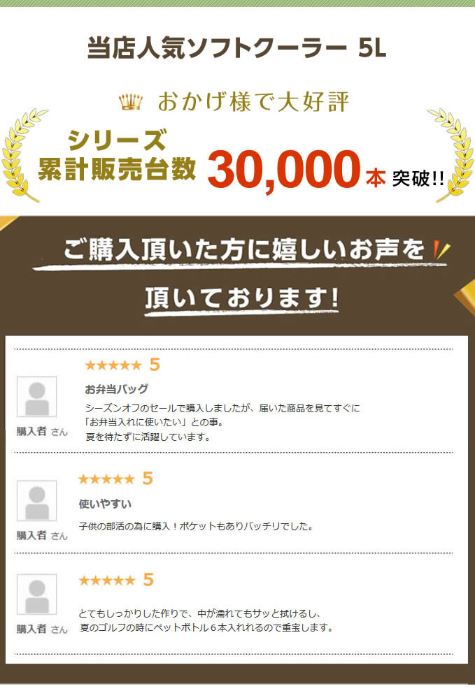 クーラーバッグ 5L ソフトクーラー VP160702I01 ビジョンピークス VISIONPEAKS通販格安セール情報 楽天 通販