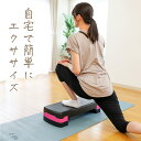 【5月23日(金)20:00〜5月27日(火)1:59限定商品500円クーポン発行中】【購入後レビューで300円クーポン配布中】 ビジョンクエストエアロビステッ...