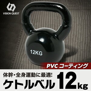 ビジョンクエスト VISION QUEST ダンベル ケトルベル 12kg VQ580104I53