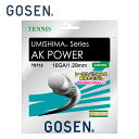ゴーセン 硬式テニスガット AKパワー16 TS712-W GOSEN