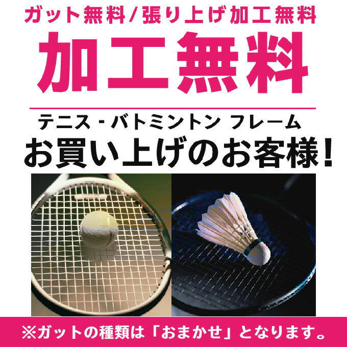 【全品対象ポイント最大7倍 5/30〜6/1】スノワート SNAUWAERT 硬式テニスラケット メンズ レディース GRINTA 100 Tour Lite グリンタ100ツアー 8T022892