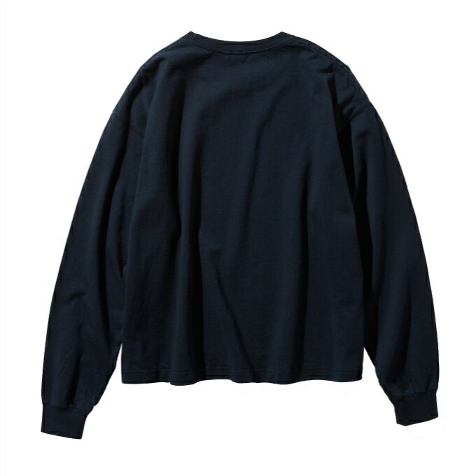 ノースフェイス Tシャツ 長袖 レディース ロングスリーブヌプシコットンティー NTW81934 UN THE NORTH FACE