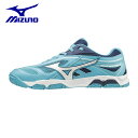 ミズノ 卓球シューズ メンズ レディース WAVE MEDAL 6 ウエーブメダル 6 81GA191501 MIZUNO