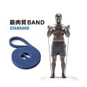 エルガム エキスパンダー トレーニングバンド スタンダード 筋肉質BAND 54154 トレーニングチューブ エクササイズバンド ストレッチ ゴムバンド 筋トレ ゴムチューブ 1