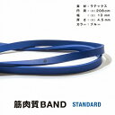 エルガム エキスパンダー トレーニングバンド スタンダード 筋肉質BAND 54154 トレーニングチューブ エクササイズバンド ストレッチ ゴムバンド 筋トレ ゴムチューブ 3