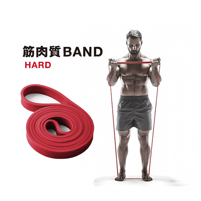 エルガム エキスパンダー トレーニングバンド ハード 筋肉質BAND 54155 トレーニングチューブ エクササイズバンド ストレッチ ゴムバンド 筋トレ ゴムチューブ