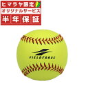 【D会員ならポイント10倍！5/5 20：00〜23：59※要エントリー】フィールドフォース FIELDFORCE 野球 硬式ボール 練習球 やわらか硬式ボール M号 2個入り FYK-722Y