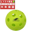 フィールドフォース 野球 トレーニングボール バッティングティー練習用ボール2個入り FBB-2 FIELDFORCE