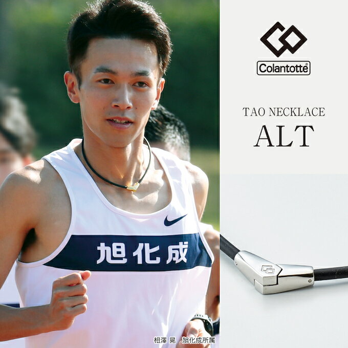 コラントッテ Colantotte 磁気ネックレス Necklace ALT ネックレス オルト ABARA37 その1