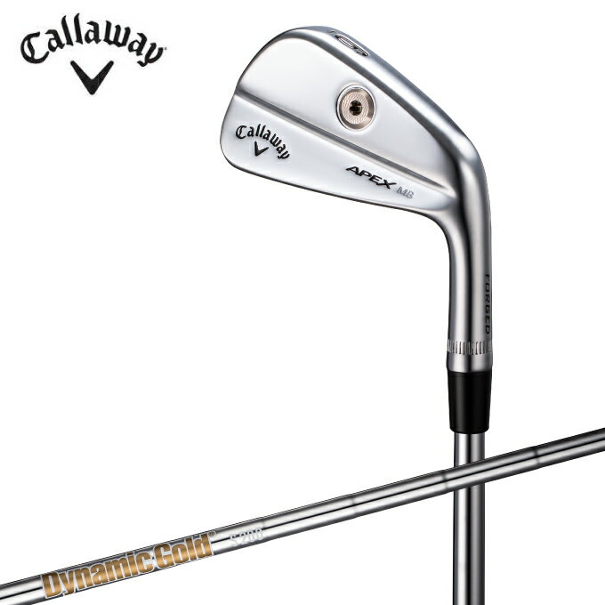 キャロウェイ ゴルフクラブ アイアンセット 6本組 メンズ Dynamic Gold シャフト APEX MB Callaway