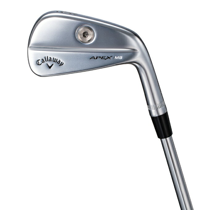 キャロウェイ ゴルフクラブ アイアンセット 6本組 メンズ Dynamic Gold シャフト APEX MB Callaway